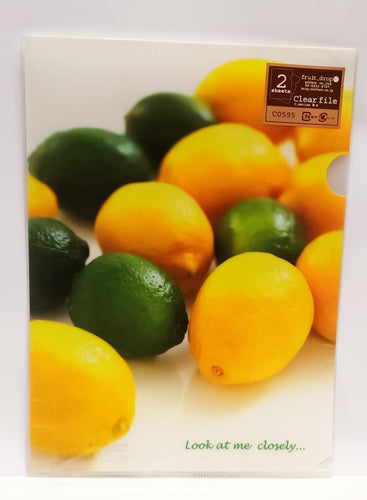 C0595   2入庄A4單人透明文件夾 P10