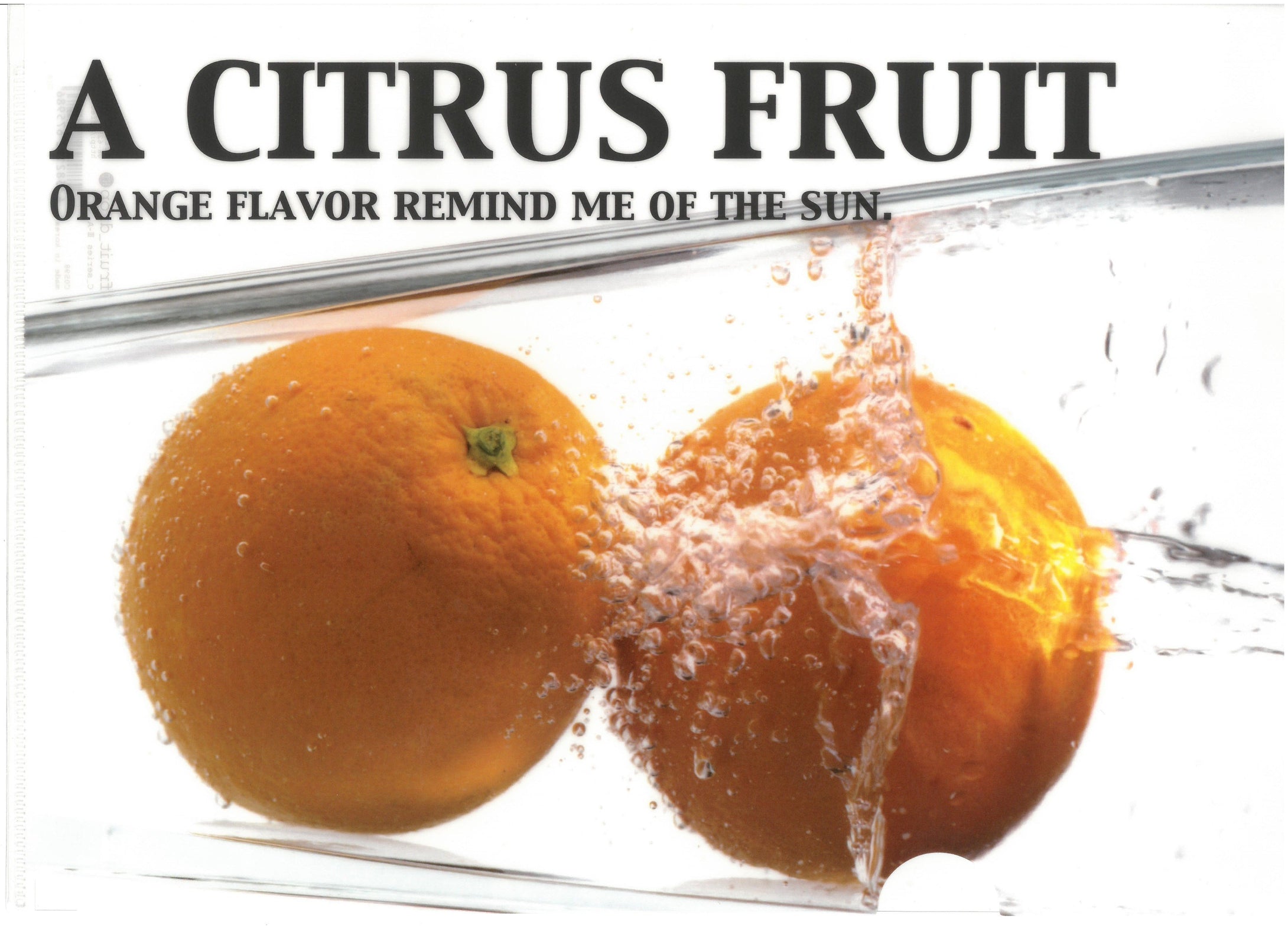 C0598   2入庄A4單人透明文件夾 P10