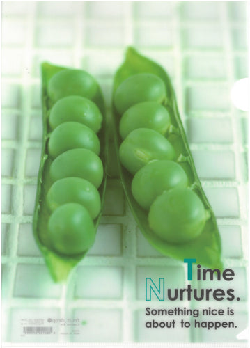 C0599  2入庄A4單人透明文件夾 P10