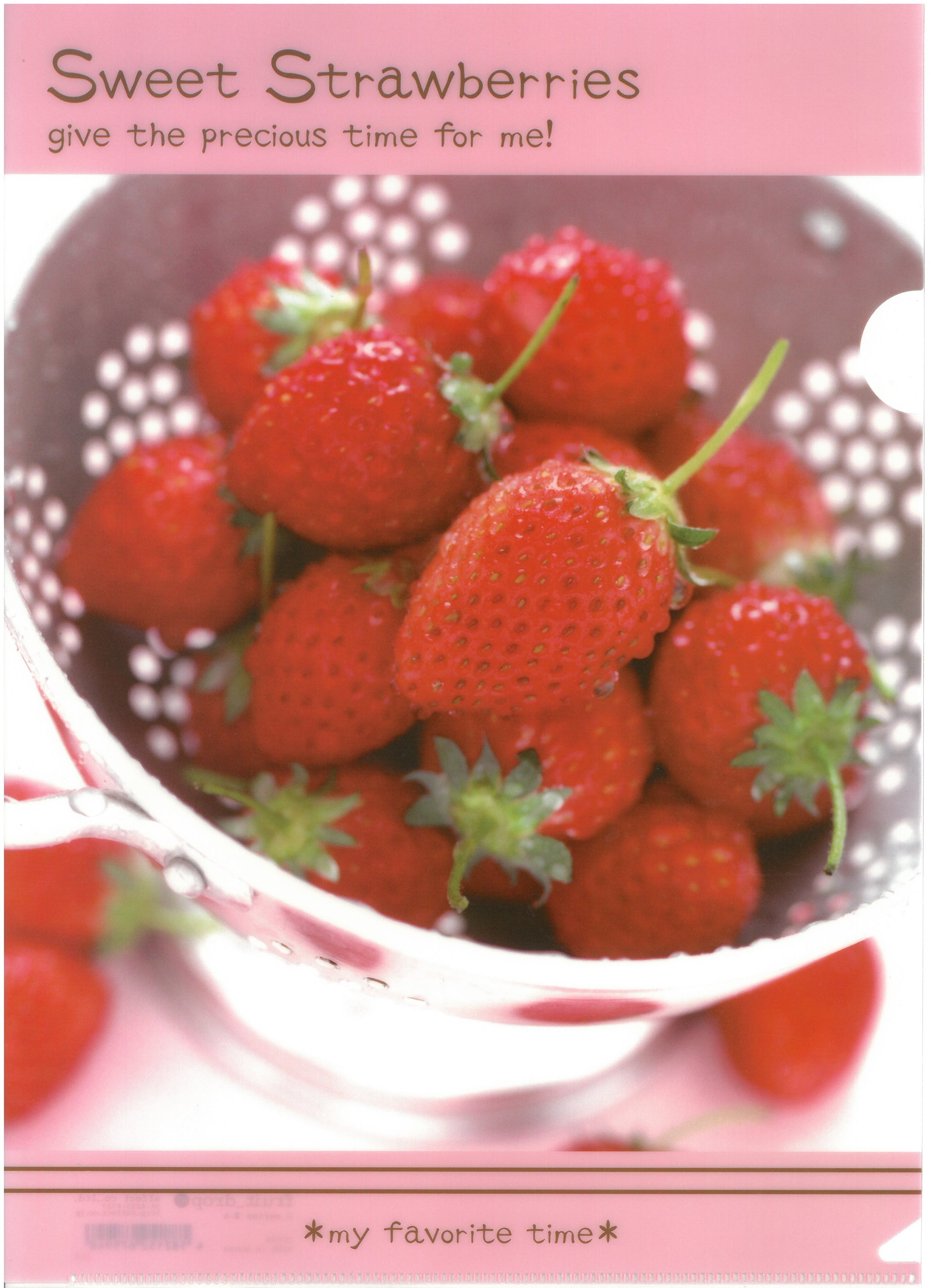 C0594   2入庄A4單人透明文件夾 P10