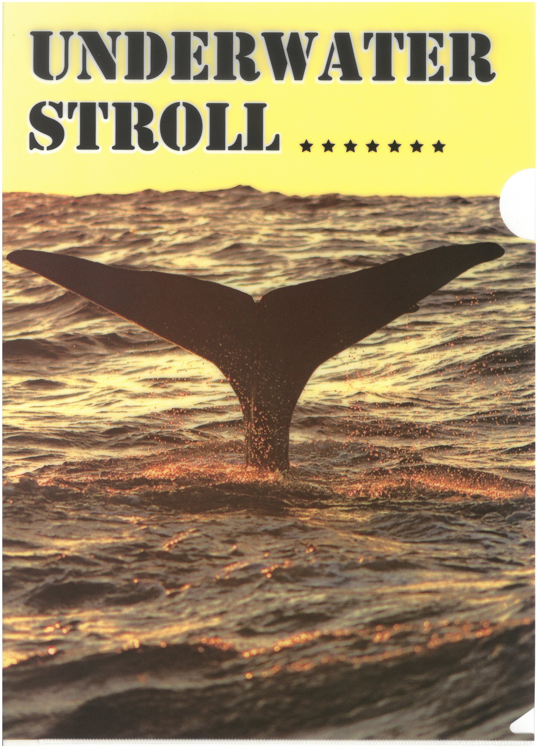 C0588   2入庄A4單人透明文件夾 P10