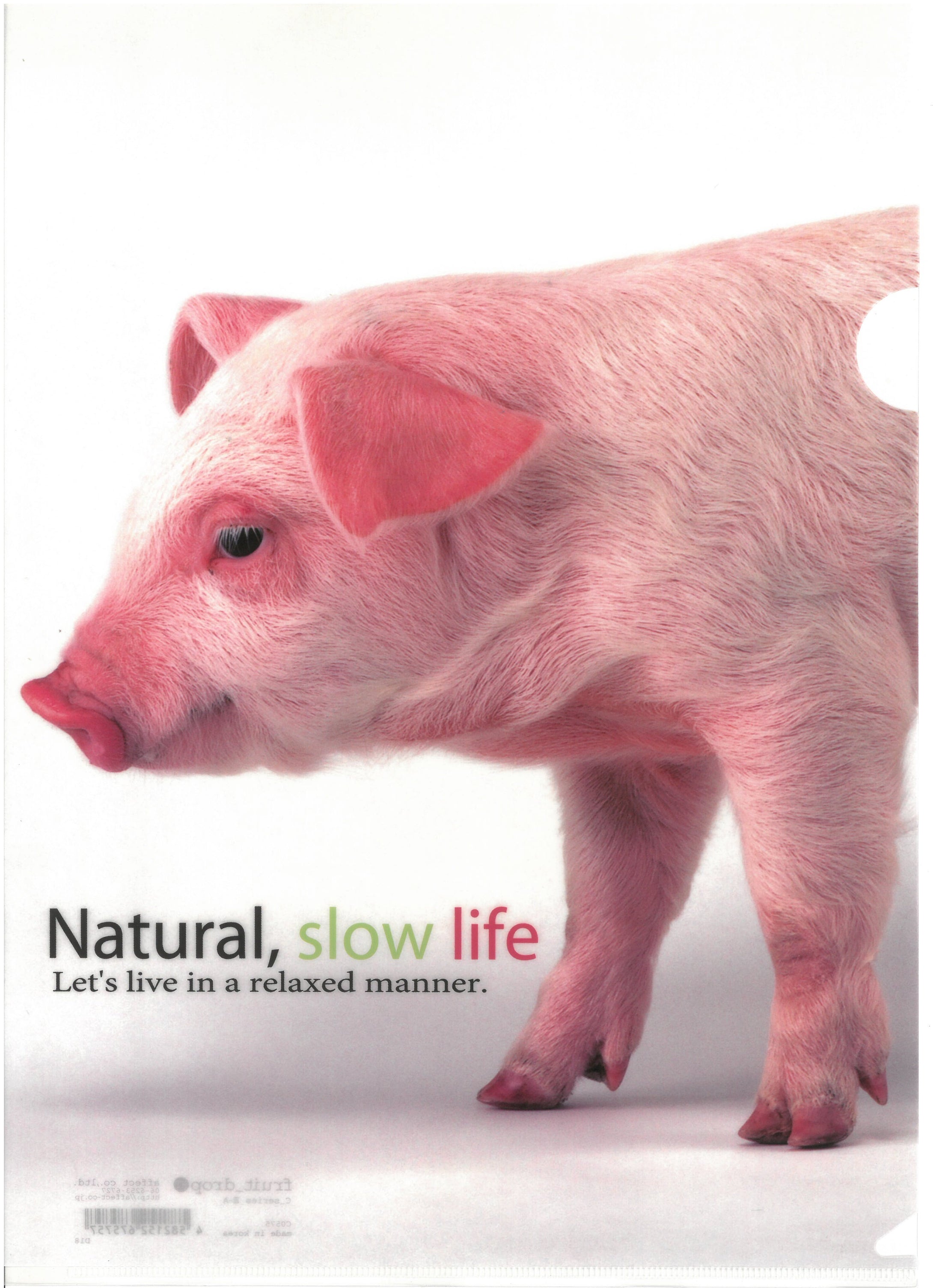 C0575   2入庄A4單人透明文件夾 P10