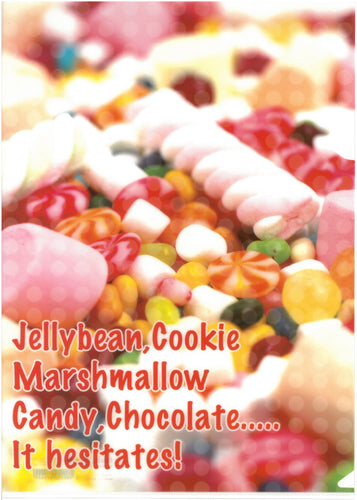 C0542  2入庄A4單人透明文件夾 P10