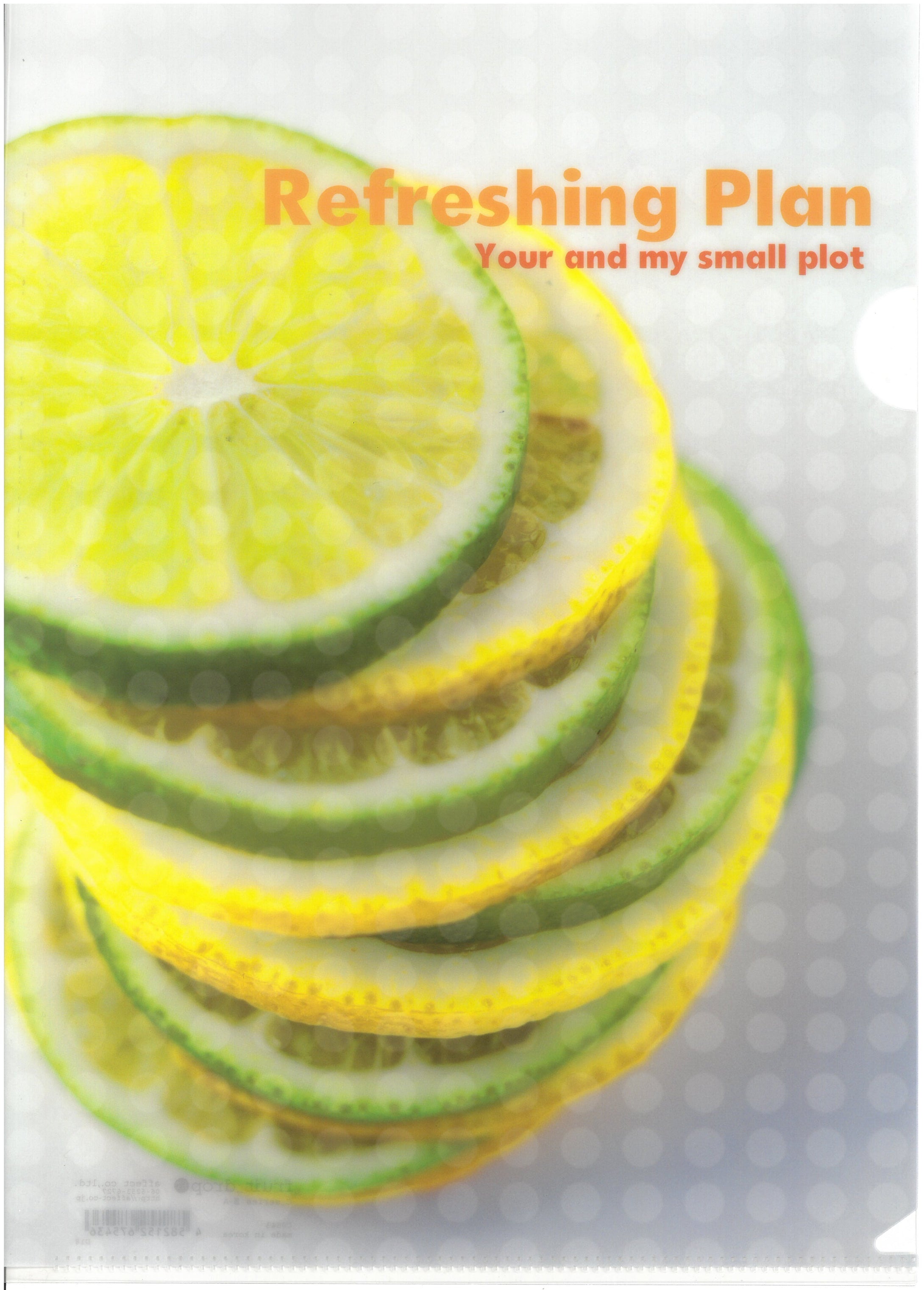 C0543  2入庄A4單人透明文件夾 P10