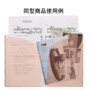FY-28301 Rilakkuma 10入A4+A3文件夾