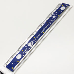 AS3545 20cm 鐵邊尺